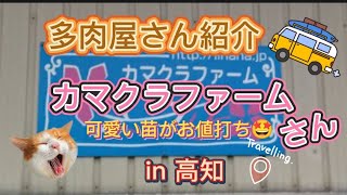 vol.85 🌵おすすめ多肉屋さん〜カマクラファーム〜高知