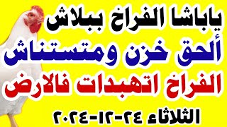 اسعار الفراخ اليوم/ سعر الفراخ البيضاء اليوم الثلاثاء 24-12-2024 في مصر جمله وقطاعي