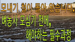 벼농사, 모심기 전 하는 필수 과정!!!