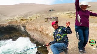venta de carnada krill en lima