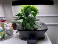 AeroGarden - Frequently Asked Questions - FAQ Part 01