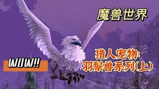 【魔兽世界】猎人宠物：家族庞大的羽鬃兽（上）- (ly_白鲸）