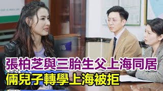 張柏芝與三胎生父上海同居？讓倆兒子轉學上海被拒，13歲大兒子墮落了？領女同學回家做功課，謝霆鋒謝賢不管不問？