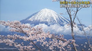 春夏秋冬の霊峰富士の姿を捉えた写真展　静岡・富士市「富士川楽座」