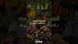 സത്യസന്ധമായി കച്ചവടം ചെയ്യുമ്പോൾ...! | Malayalam Islamic Speech 💌