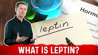 What is Leptin? Explained By Dr.Berg