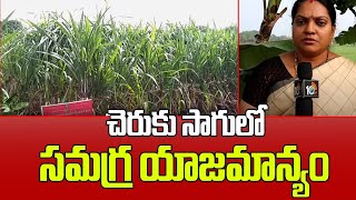 Integrated Management In Sugarcane Cultivation | చెరుకు సాగులో సమగ్ర యాజమాన్యం | Matti Manishi