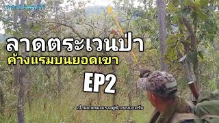 #ลาดตระเวนป่า #ค้างแรม1คืนEP2 #พิทักษ์ป่าพาทัวร์