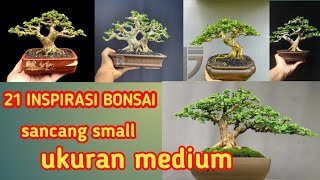 INSPIRASI BONSAI SMAILL | | KUMPULAN BONSAI SMALL