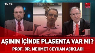 Mehmet Ceyhan: ‘’Aşının içirişinde kesinlikle domuz yağı ve plasenta diye bir şey yok''