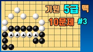 기력측정 맥 #3 [100점에 도전해 봅시다!]