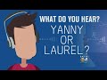 The Science Behind 'Laurel' Or 'Yanny'