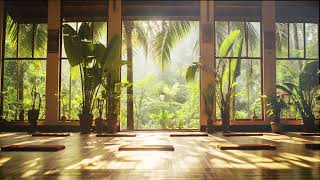 Kerala Yoga Studio | Ambience Background Visualisation and Music