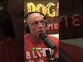 Joe Rogan: Elon Musk thinks that we're living in a simulation