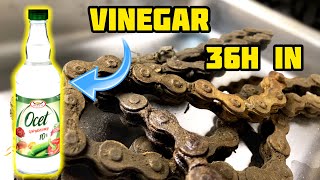 RUSTY BIKE CHAIN Cleaning by VINEGAR 36 hours