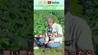 菌って人間のミカタ！？【おうちで元気な無農薬野菜を育てよう】 #shorts