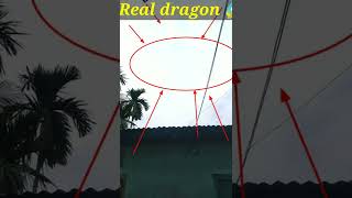 Real flying dragon caught on camera Again 😱😱 OMG watch till end  #Shorts #viral