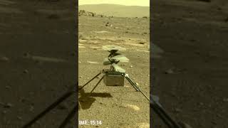 Mars Rover Gives Birth