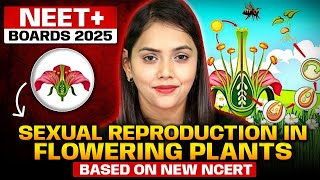 Sexual Reproduction in Flowering Plants | Class 12 | One Shot | Neet 2025 | Shipra Tiwari