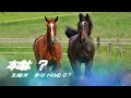 加賀友禅賞【金沢競馬2023予想】3歳牝馬の短距離重賞