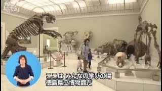 県立博物館で自然や歴史を学ぼう！(H300504)