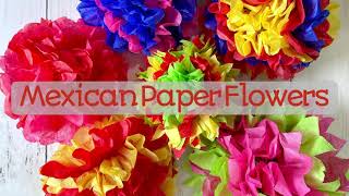 Mexican Paper Flowers - Kids Craft for Cinco De Mayo