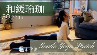 30分鐘和緩瑜珈Total Body Gentle Stretch溫柔伸展，解除緊繃，提升活力｜Yoga with Sophie 蘇菲瑜珈