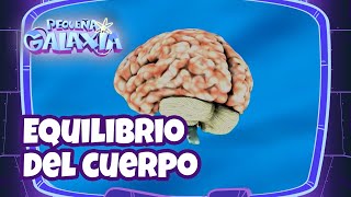 ¿Qué son los neurotransmisores?