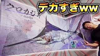 【特注】ノリで注文したカジキの魚拓が巨大すぎてやべぇwww