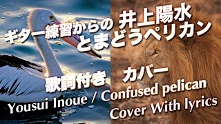 ギター練習〜の　とまどうペリカン　井上陽水　カバー　( Tak Music.R.Gold. ) 歌詞付｜｜ Confused pelican / Yousui Inoue cover