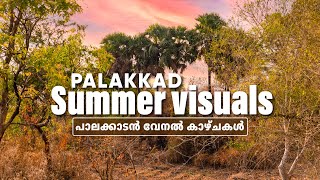 Palakkad Summer Nostalgia | കൊതിപ്പിക്കുന്ന പാലക്കാടൻ വേനൽ ഭംഗി | Kerala | Malayalam Vlog