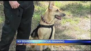 K9 search, rescue training in Manatee Co.