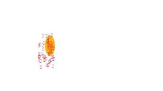 Object Tracking by Particle swarm optimization in Opencv
