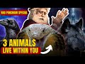 🔴THIS IS HOW  3 ANIMALS RESIDE WITHIN YOU | 3 LEVELS OF HUMAN CONCIOUSNESS