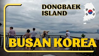 🇰🇷4K Walking Busan South Korea | Dongbaekseom 동백섬 #부산 #한국 #해운대 #동백섬 #southkorea #busan #Dongbaek