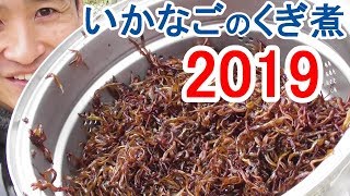 いかなごのくぎ煮2019  １回も混ぜないで仕上げる　＃249