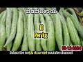 mysuru apmc vegetables prices. 03 12 2024 ಮೈಸೂರು ತರಕಾರಿ ಮಾರುಕಟ್ಟೆಯ ತರಕಾರಿ ಬೆಲೆಗಳು mysore