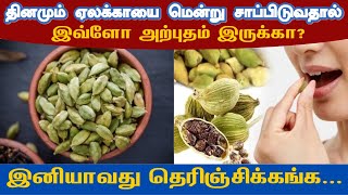 ஏலக்காயை மென்று சாப்பிட்டால் ஏற்படும் அற்புத பலன்கள் | Benefits of cardamom in Tamil