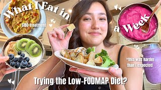 Finally Treating my SIBO | WHAT I EAT IN A WEEK (& my workouts) | I tried the Low-FODMAP Diet???