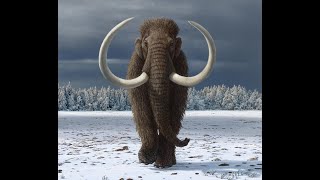 Extinct 2001 The Mammoth