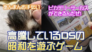 【DSのレアゲーム】最近高騰しているDSのソフト！昭和を遊び尽くせるこのゲームが面白い！あんまんを撫でる！【ピカデリーサーカス・メンコ・カー消し・スー消し・フェレット】