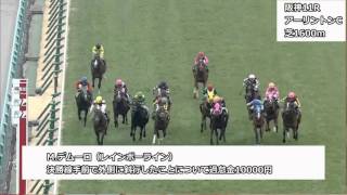 2016年2月27日阪神競馬制裁事象