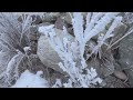 winter hoar frost 4k scenery video