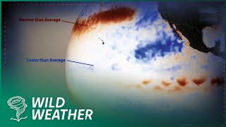Super-Droughts: How Climate Change is Changing The Air | Code Red