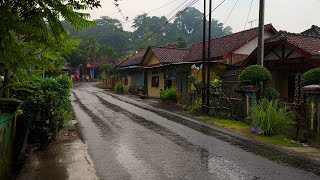 Evening rain the beautiful one | Quiet and peaceful | Rural in Indonesia