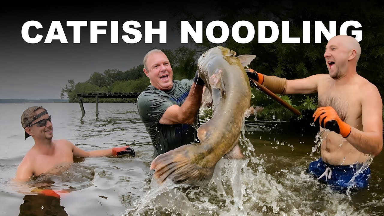 Catching Big Catfish By Hand - Learning How To Noodle Flatheads With ...