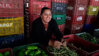 FEIRA NA CEASA DE TIANGUÁ-CE 14/2/2025