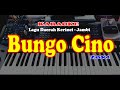 Lagu Daerah Keinci - Jambi - BUNGO CINO - KARAOKE - vesi - POP SLOW