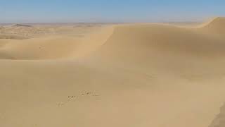 Imperial Sand Dunes sand storm!