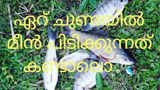 ഏറ് ചുണ്ടയിൽ ഒരു തകർപ്പൻ മീൻ പിടുത്തം # Handline fishing